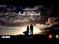 Tu Hi Haqeeqat Khaab Tu Precious BGM Ringtone
