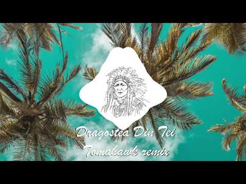 O-Zone - Dragostea Din Tei (Tomahawk Remix)