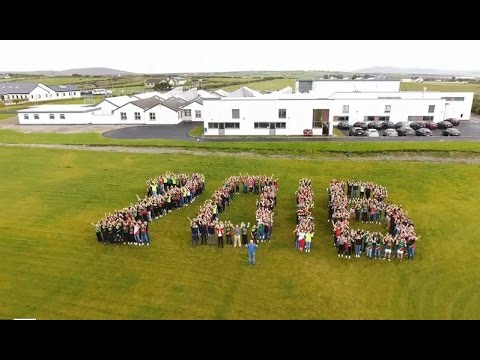 Willie Joe & his Laughing Gas, MAYO FOR SAM 2016