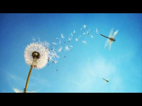 Rominimal and Microhouse Set / Deep House & Relaxation Music Vol.144