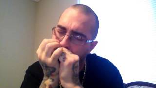 Steve Earle-Brand New Companion, harmonica.