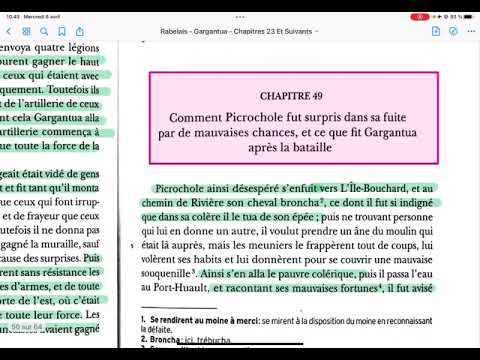 Rabelais - Gargantua - 10 - chapitres 46 à 51 - Lecture expliquée - commentaire résumé