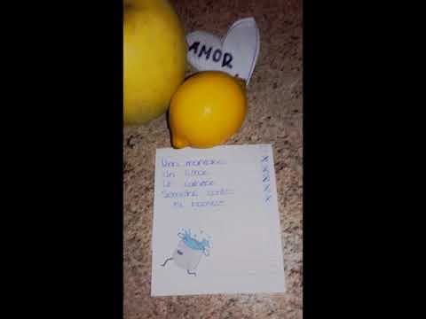 Semillas contra el hambre