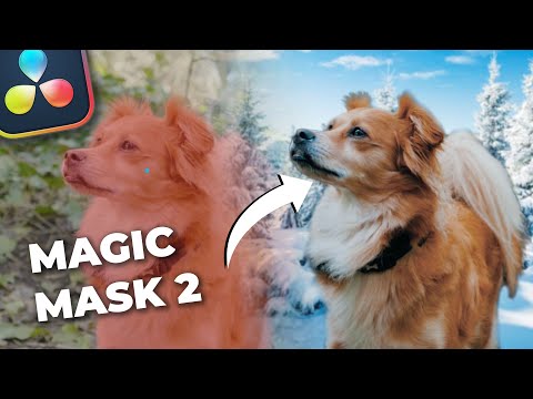 DaVinci Resolve 3 Magic Mask V2 Video