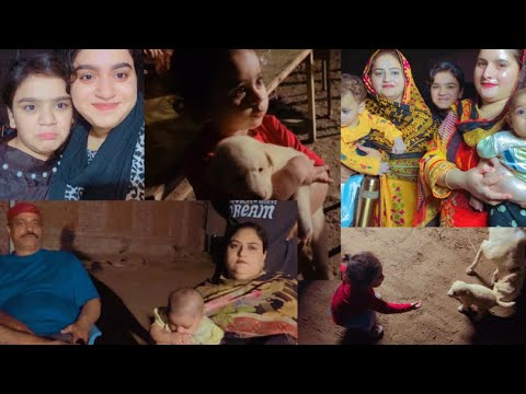 Hum girty girty bachy | Hurain ne ki puppy k sath masti| Vicky bhai or shirin bhabhi ne bnaya khana