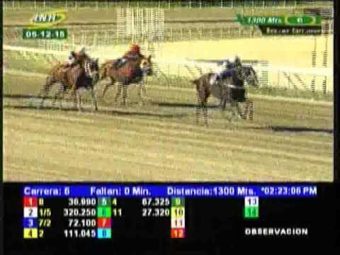 Copa El Corsario 2015 - La Rinconada