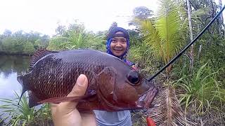 preview picture of video 'Guru Garis Depan : Perjalanan berburu ikan Mangrove Jack untuk menyambung hidup.'