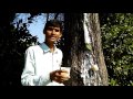 नीम के पेड़ से गिरी ताड़ी तालनपुर mahendra kannoj