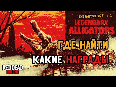 Легендарные аллигаторы в Red Dead Online