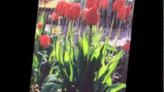 Judy Garland: April Showers