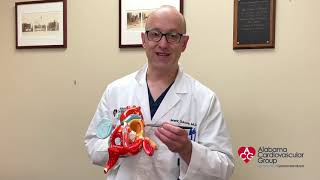 Heart Valves and Conditions - Mark Sasse, M.D. - Grandview Medical Center