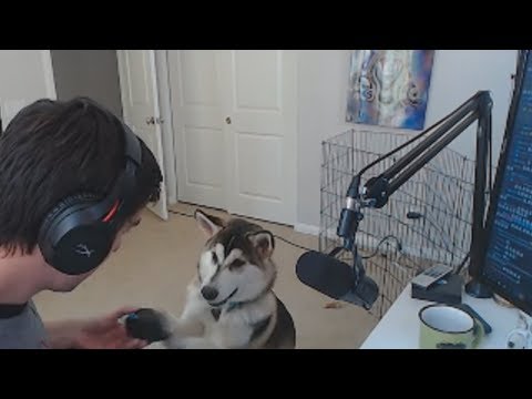 50 ALPHA PACK OPENING! - RAINBOW SIX SIEGE