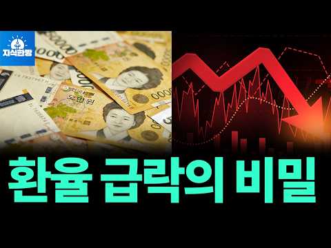 환율 급락의 비밀, 내년도 버틸까?