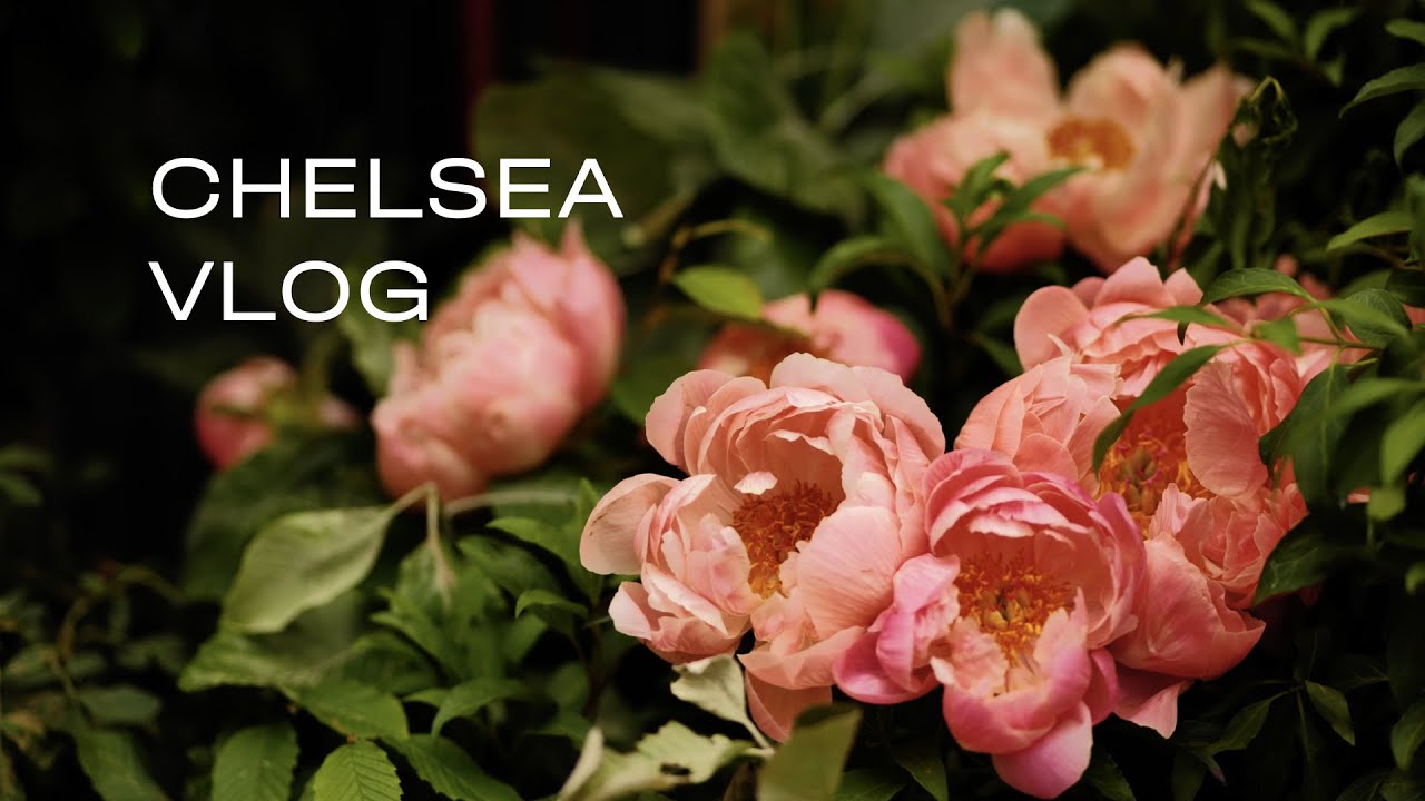 Walk with me to Chelsea in Bloom 🌸 London, 2022