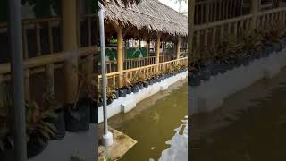 Download lagu Tempat makan diatas kolam ikan #short #kulinerbogor #wisatakuliner mp3 Download lagu Tempat makan diatas kolam ikan #short #kulinerbogor #wisatakuliner mp3