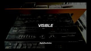 Visible//Jaguares (Letra)