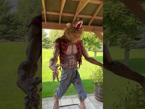 2024 Costco 7ft Warewolf review