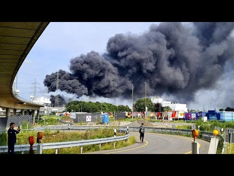 Férgek amelyek az emberi testben élnek