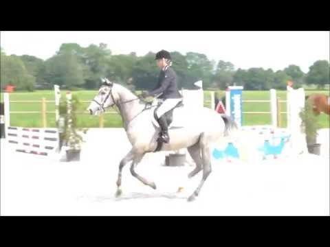 Facidin (Zirocco Blue X Wellington) 27-05-2014