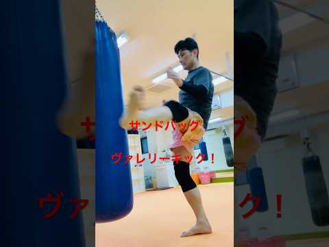 [キックボクシング　格闘技　トレーニング] サンドバッグ！　ヴァレリーキック！　#キックボクシング #格闘技 #トレーニング