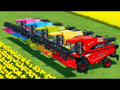 HARVESTING SOYBEANS, LOAD & TRANSPORT WITH STEYR TRACTORS & HARVESTERS - Farming Simulator 22