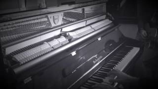 DAVE NOT DAVE &quot;COLD BLOOD&quot; (ACOUSTIC REHEARSAL)