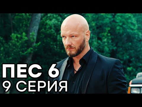 Сериал ПЕС 6 - 6 сезон - 9 серия - ВСЕ СЕРИИ смотреть онлайн | СЕРИАЛЫ ICTV