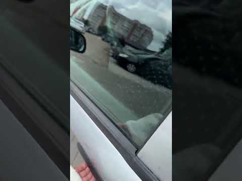 фото citroen xsara xsara 0