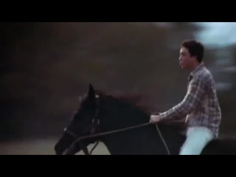 The Black Stallion Returns Full Movie Fact & Review In English / Vincent Spano / Woody Strode