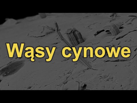 Wąsy cynowe [RS Elektronika] #213