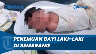 Hampir Dikerubungi Semut, Bayi Laki-laki Ditemukan di Semak-semak Mijen Semarang