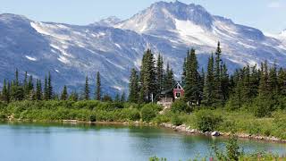 Bernard Butler - Stay (with Lyrics)