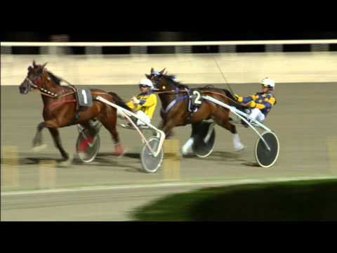 2015 09 05 Sab 11 corsa Campionato Europeo Race Off