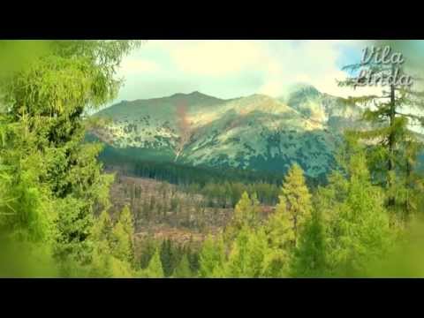 Vila Linda - Stará Lesná 4