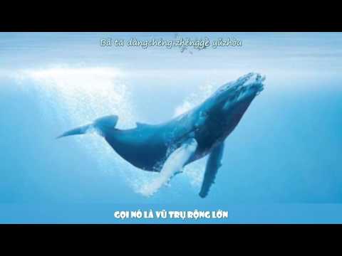 [Vietsub + Kara] Cá voi là hóa thân của hòn đảo đơn độc - W.K
