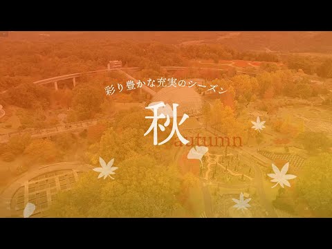 とっとり花回廊 秋