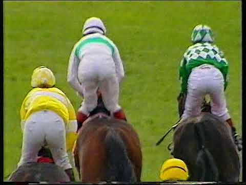 1999 Ayr Gold Cup Grangeville Includes Replay