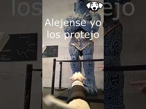 🙀Guerra Mítica entre SnowyDogMex vs Jaguar Agua en Mitikah #SNOWYDOGMEX #shorts #short