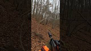 Jetzt auf YouTube – hast du das Abenteuer schon gesehen? 🐗🌿Schau dir den Film jetzt an!