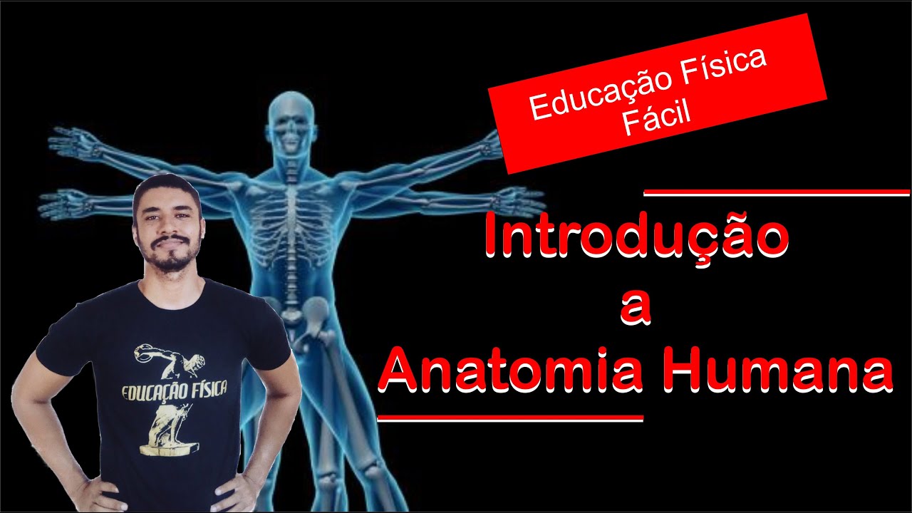 O Que é Anatomia Educação Fisica