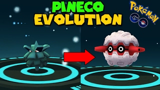 Pineco Evolution Chart