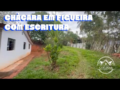 Chácara com Riacho e Pomar em Figueira-PR | 5.000m² de Natureza por Apenas R$192 mil