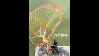 Traditional net fishing #Handcrafted Dharmama net #Fishing in rural areas