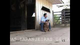 preview picture of video 'Fazenda das Laranjeiras 04-Ory Souza'