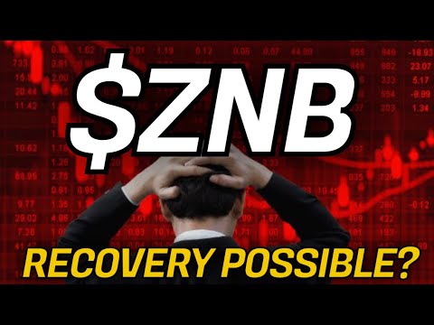 ZNB-LAGER: 7,45 $ BIS ENDE DER WOCHE! ($ZNB)