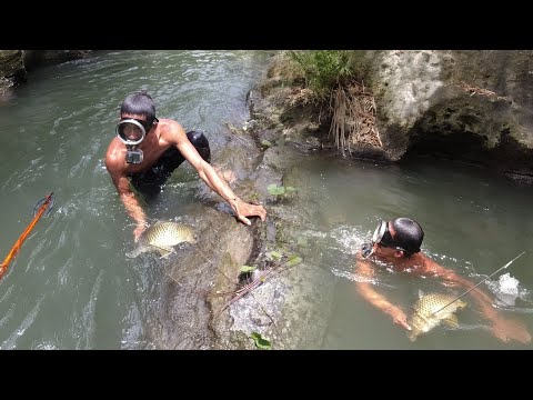 SE03EP062 - SUMASABAY sa AGOS at TUMATAGO sa DAMUHAN ( MATALINONG KARPA ) Catch & Cook | SPC Lag