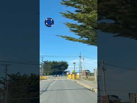 PAMPA ALEGRE EN PUNTA ARENAS. CHILE