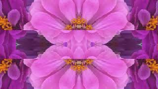 Sinner's Prayer (by Eric Clapton live at the Fillmore, San Francisco 1994)
