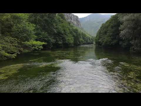Fly Fishing Paradise