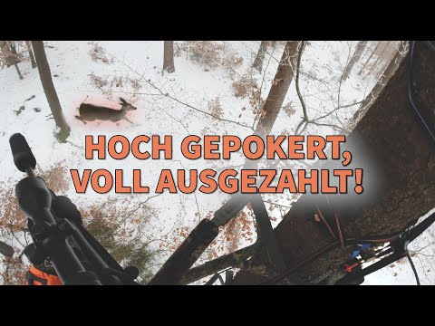 Drückjagd im Schnee mit  @JagdMomente – jagenNRW story #21  – Jagd mit Klettersitz